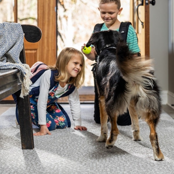 Pet friendly with kids | Affordable Flooring Warehouse | Steamboat Springs, CO